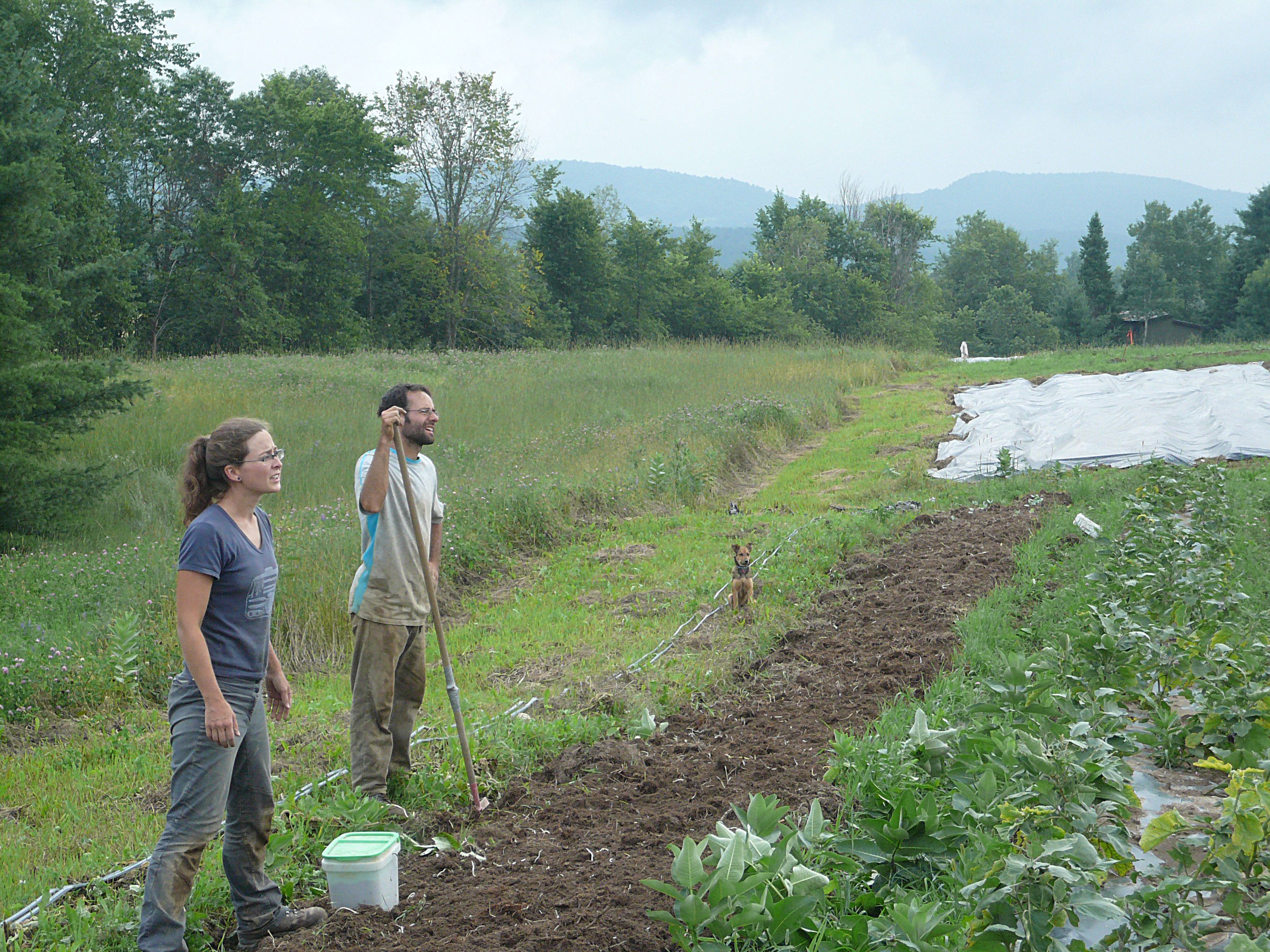 Photo agrocologie