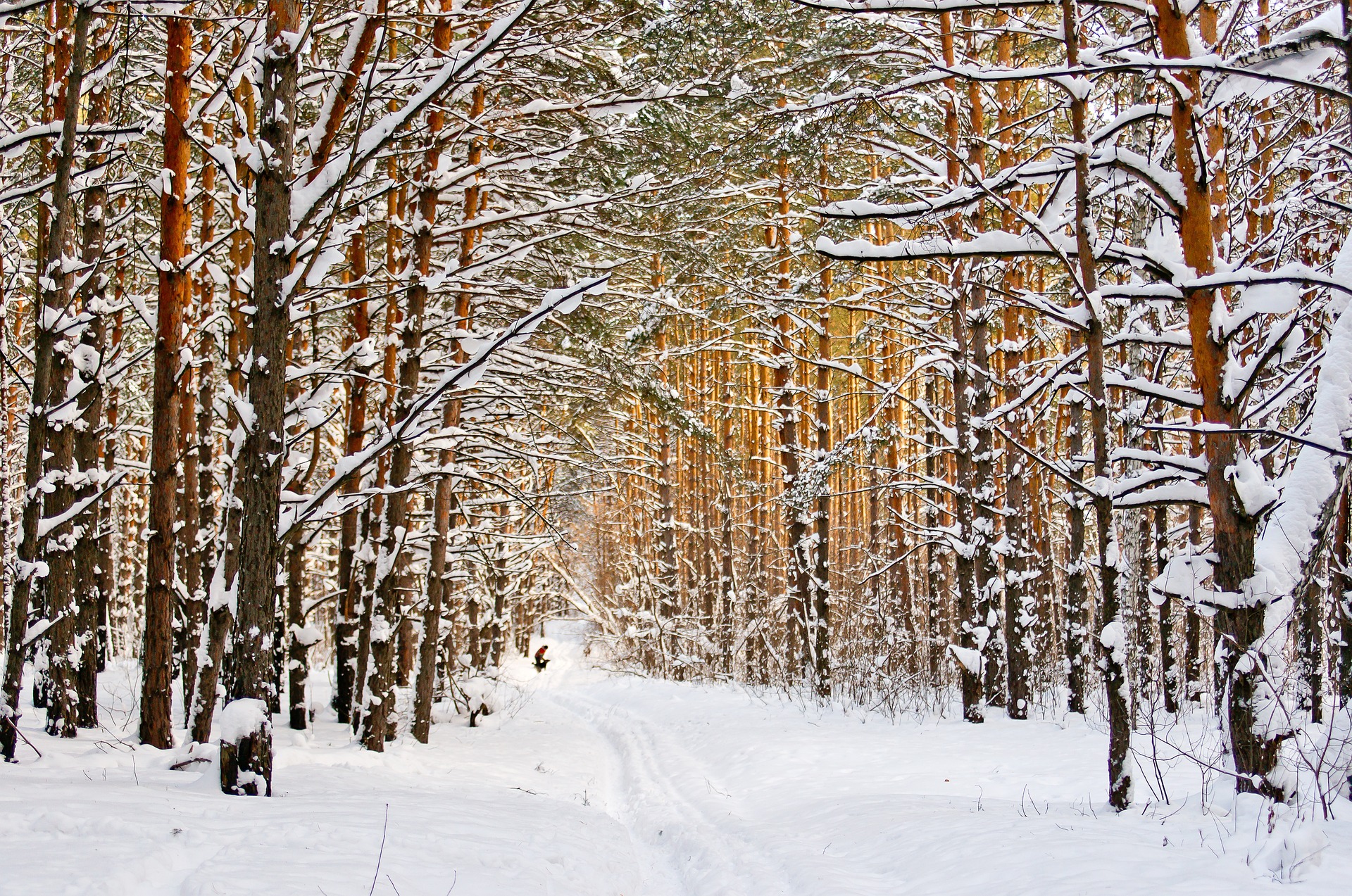 winter 6943995 1920